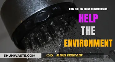 Eco-Friendly Showers: How Low Flow Heads Save Water and Energy