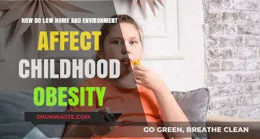 Home Environment Impact: Uncovering Links to Childhood Obesity Risks