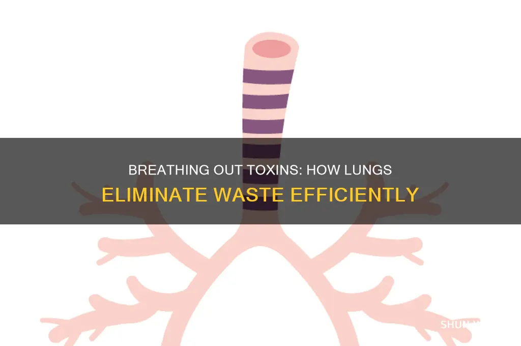 how do lungs get rid of waste