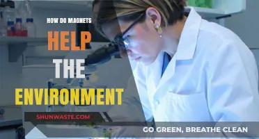 Magnets' Eco-Impact: Sustainable Solutions for a Greener Future