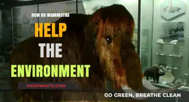 Mammoths' Surprising Role in Restoring Ecosystems and Combating Climate Change