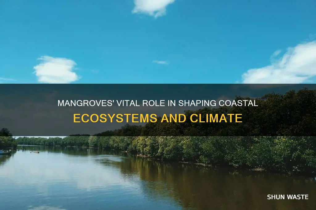 how do mangroves affect the environment