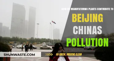 Beijing's Pollution: Manufacturing Plants' Dark Secrets