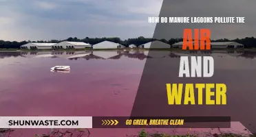 Manure Lagoons: A Recipe for Air and Water Pollution