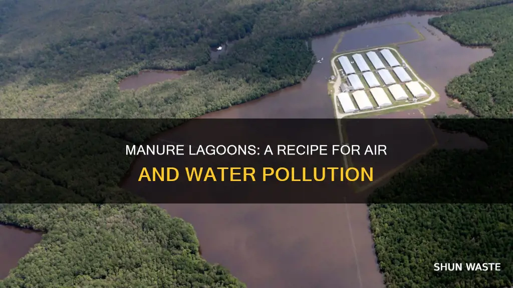 how do manure lagoons pollute the air and water