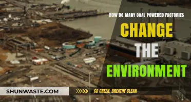 Coal-Powered Factories: Environmental Impacts and Ecosystem Changes Explained