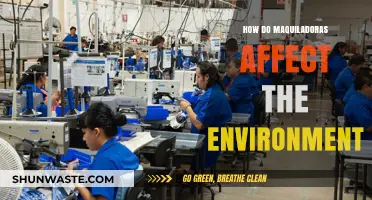 Maquiladoras' Environmental Impact: Pollution, Waste, and Ecosystem Disruption Explained