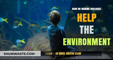 Marine Biologists: Guardians of Ocean Health and Environmental Conservation