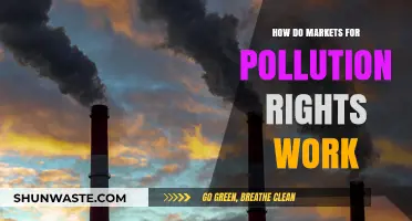 Pollution Rights: Trading for a Cleaner Future