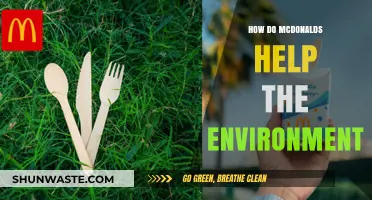 McDonald's Eco-Initiatives: Sustainable Practices for a Greener Future