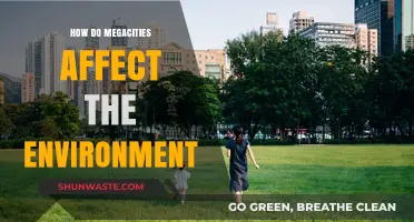 Megacities' Environmental Impact: Urban Growth and Ecological Consequences Explored
