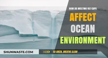 Melting Ice Caps: Transforming Ocean Ecosystems and Global Climate Patterns