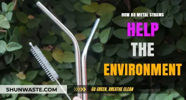 Eco-Friendly Sipping: Metal Straws' Impact on Reducing Plastic Waste
