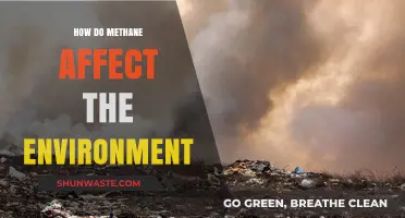 Methane's Environmental Impact: Climate Change, Ecosystems, and Global Warming Explained