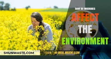 Microbes' Environmental Impact: Shaping Ecosystems and Earth's Balance