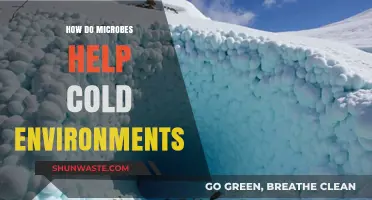 Microbial Marvels: How Tiny Organisms Thrive in Cold Ecosystems