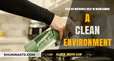 Microbes: Nature's Tiny Cleaners for a Sustainable Environment