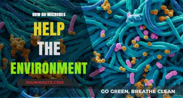 Microbes: Unseen Heroes Shaping Earth's Ecosystems and Environmental Health