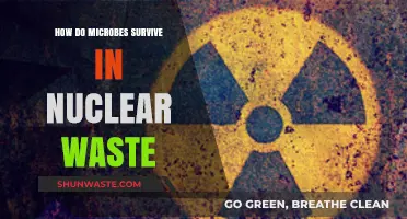 Microbial Resilience: Surviving the Extreme Conditions of Nuclear Waste