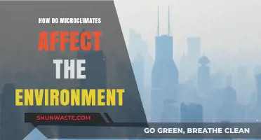 Microclimates' Impact: Shaping Local Ecosystems and Environmental Dynamics