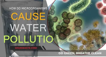 Microbes: Unseen Water Polluters and Their Impact on Aquatic Ecosystems