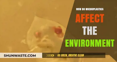 Microplastics' Environmental Impact: Unseen Pollutants, Visible Destruction