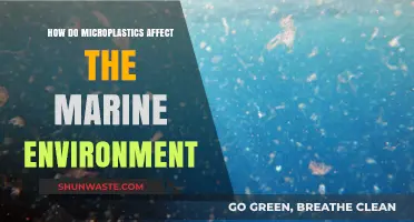 Microplastics' Devastating Impact on Marine Ecosystems: A Growing Crisis
