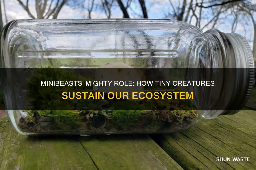 how do minibeasts help the environment