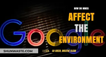 Multinational Corporations' Environmental Impact: Challenges and Sustainable Solutions