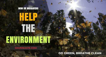 Monarchs' Vital Role in Pollination, Biodiversity, and Ecosystem Health