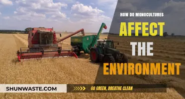 Monocultures' Environmental Impact: Biodiversity Loss and Ecosystem Disruption Explained