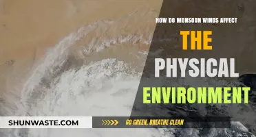 Monsoon Winds: Shaping Landscapes, Ecosystems, and Environmental Dynamics