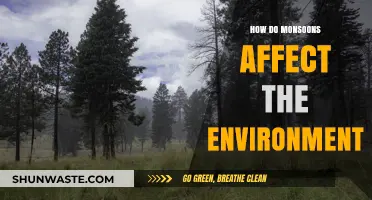 Monsoons' Environmental Impact: Shaping Ecosystems, Climate, and Biodiversity