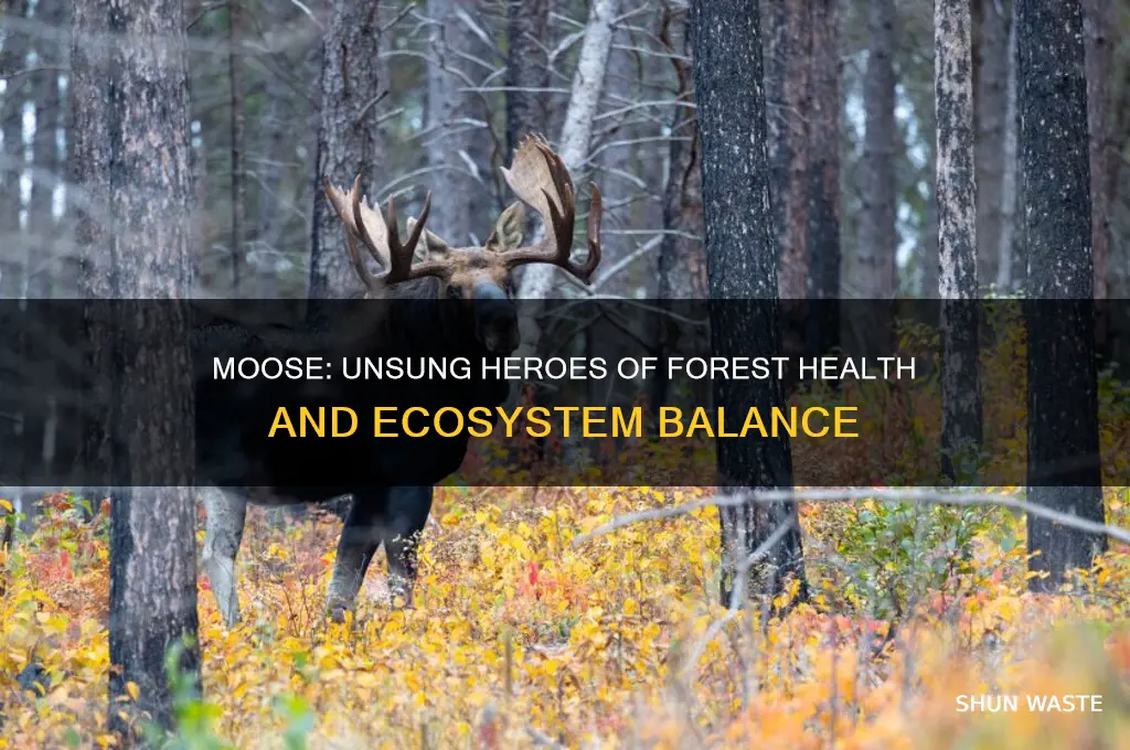 how do moose help the environment