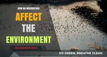 Mosquitoes' Environmental Impact: Ecosystem Roles, Disease Spread, and Biodiversity