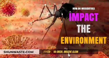 Mosquitoes' Ecological Role: Balancing Harm and Environmental Impact