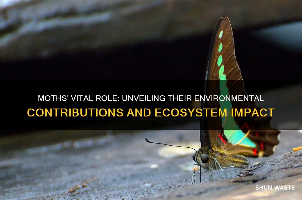how do moths help the environment