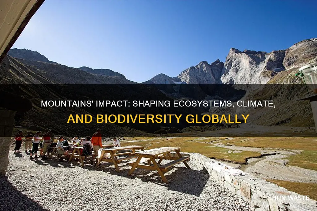 how do mountains affect the environment