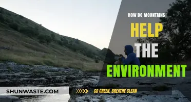 Mountains: Nature's Lifeline for Climate, Biodiversity, and Ecosystems