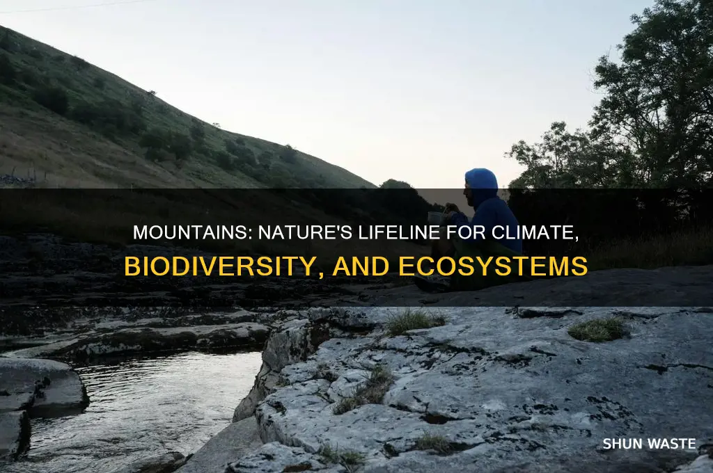 how do mountains help the environment