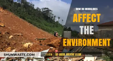 Mudslides' Environmental Impact: Destruction, Erosion, and Ecosystem Disruption Explained