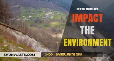 Mudslides' Devastating Environmental Impact: Causes, Effects, and Prevention Strategies