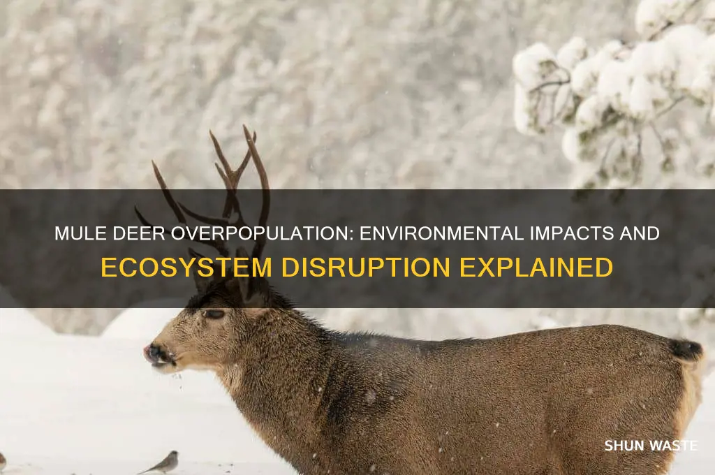 how do mule deer negatively affect an environment