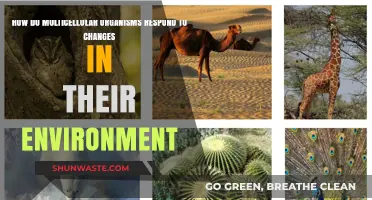 Environmental Adaptation: How Multicellular Organisms Respond to Change
