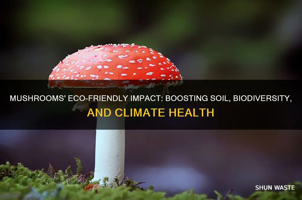 how do mushrooms help the environment