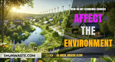 Sustainable Spending: How Your Economic Choices Impact the Environment