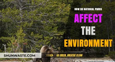 National Parks: Environmental Guardians or Ecological Challenges?