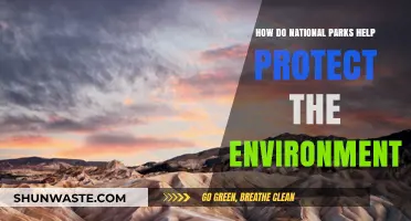 National Parks: Vital Guardians of Ecosystems and Biodiversity Preservation