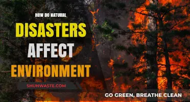 Natural Disasters' Environmental Impact: Destruction, Recovery, and Long-Term Effects