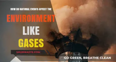 Natural Events' Impact: How Gases Shape Our Environment